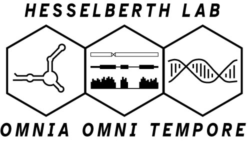hesselberth-lab-hex-logo.jpg